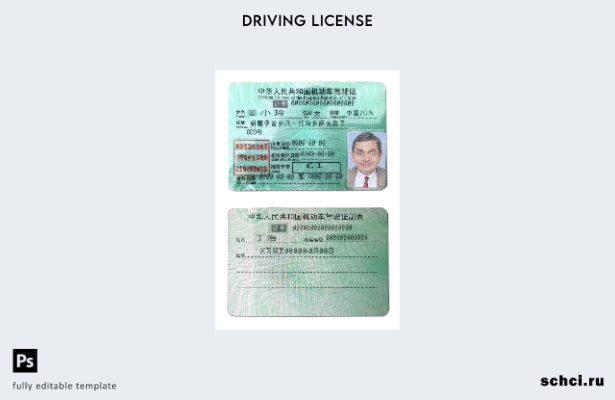 цифровая загрузка шаблона China DL